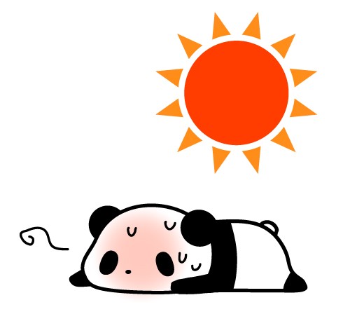 夏到来